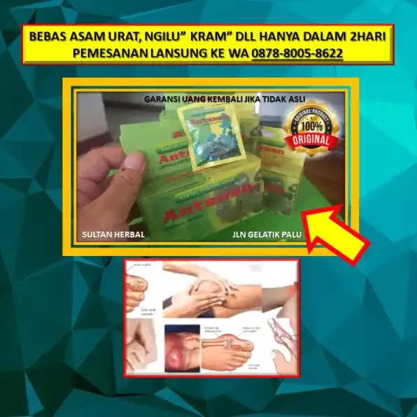 0878-8005-8622 Obat Asam Urat Bengkak Di Kaki Di Kota Palu