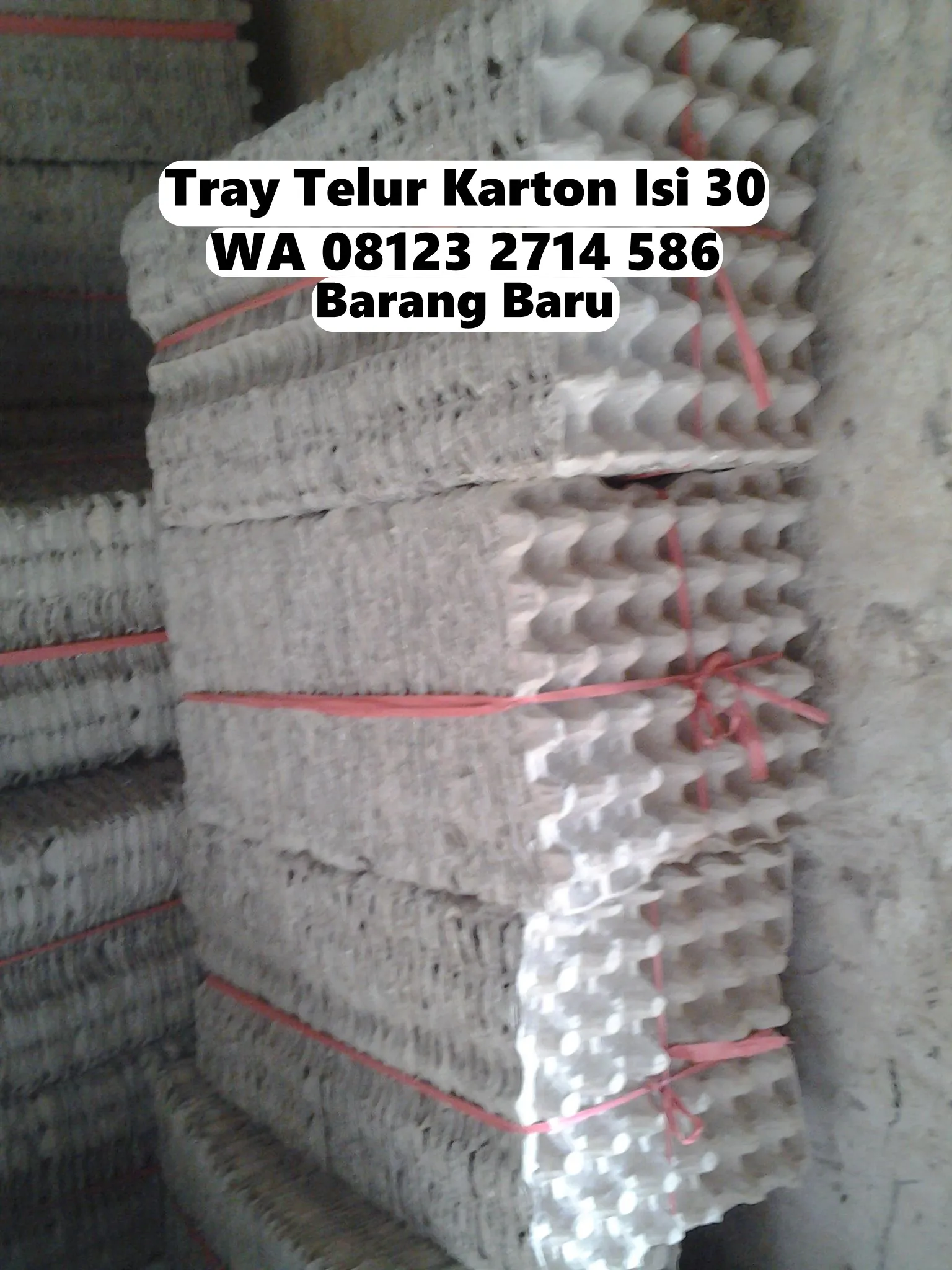 Tempat Telur Kardus Harga Hemat Penebel Tabanan Bali (138)