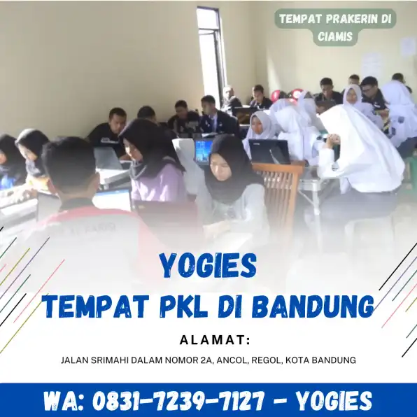 WA : 0831-7239-7127 ( YOGIES ) , Area Internship Di Sumedang , Jurusan Bisnis