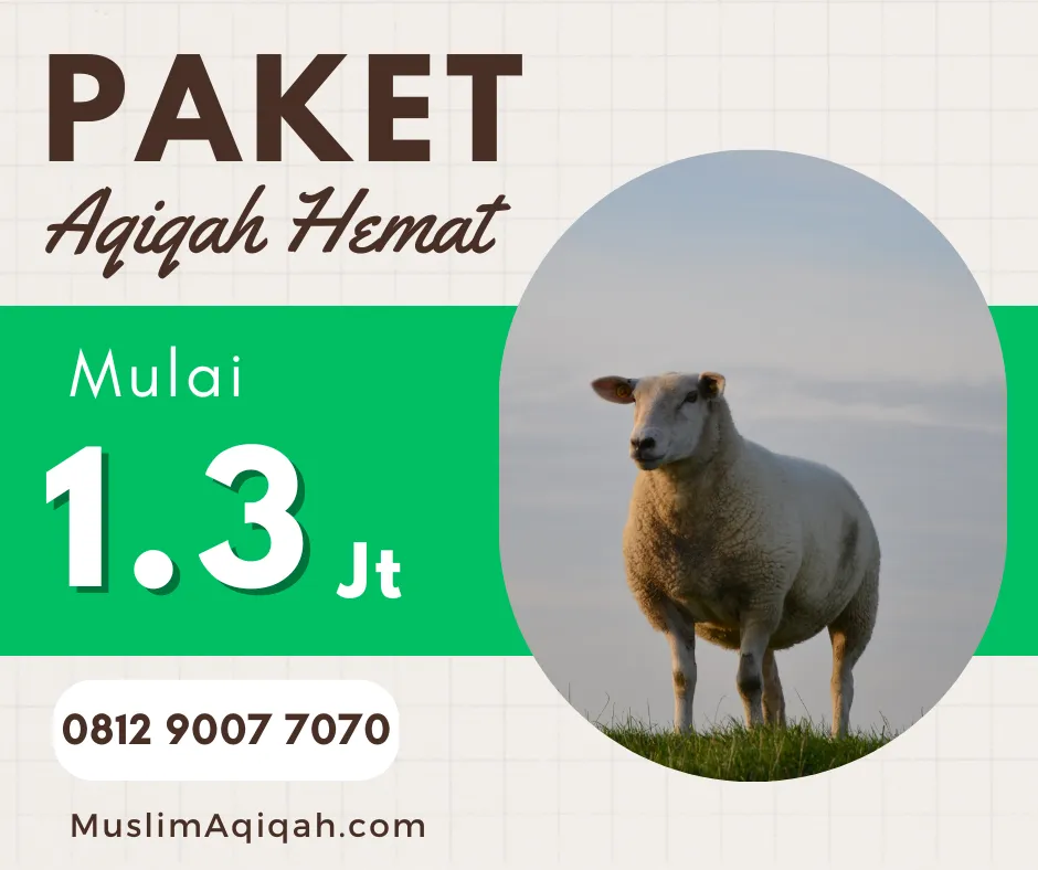 Jasa Paket Katering Kambing Aqiqah Tangerang
