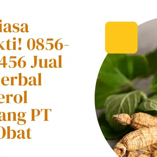 Luar Biasa Terbukti! 0856-4028-7456 Jual Obat Herbal Kolesterol Semarang PT Dewa Obat