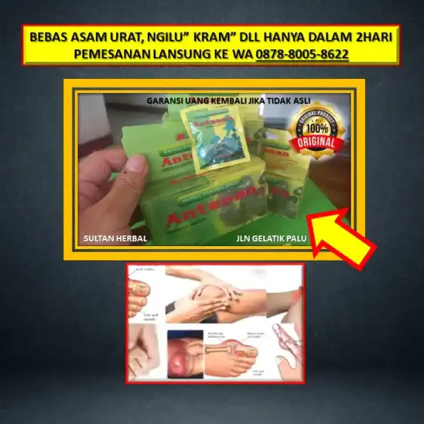 0878-8005-8622 Obat Alami Kolesterol Buat Ibu Hamil Di Kota Palu