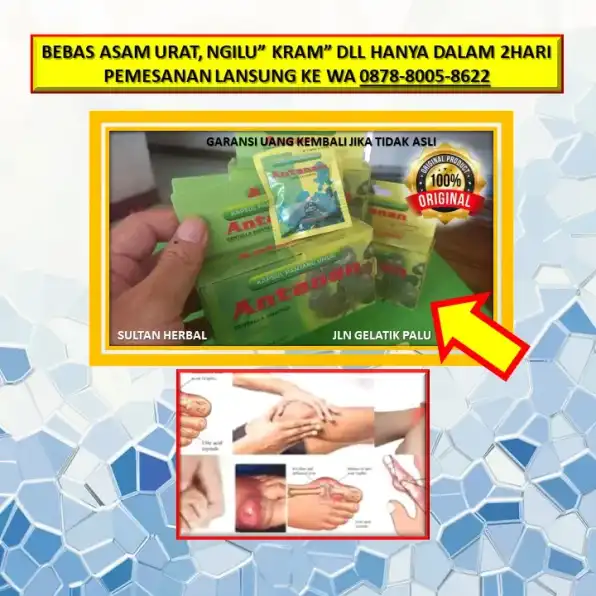 0878-8005-8622 Obat Alami Kolesterol Secara Tradisional Di Kota Palu