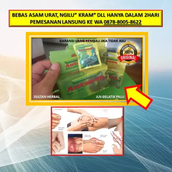 0878-8005-8622 Obat Alami Kolesterol Dan Darah Rendah Di Kota Palu