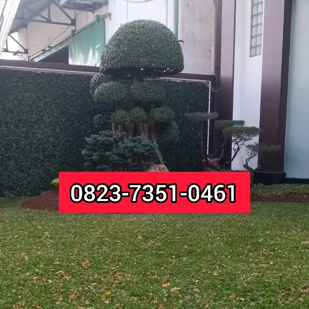 Tukang Taman Kedamaian Bandar Lampung 0823-7351-0461