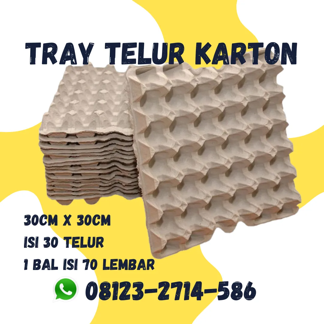 Rak Telor Bukan Bekas (Tray Telur) - Solusi Tepat Kirim ke Labuapi Lombok Barat (45)