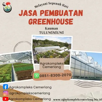 jasatokoonlinetulungagung