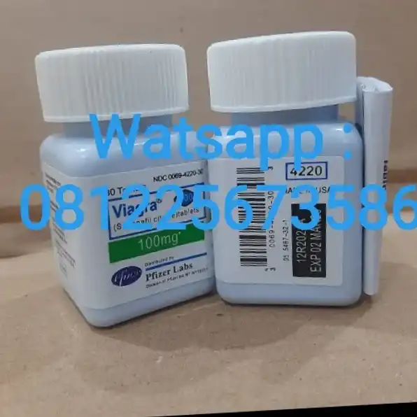 081225673586 Jual Viagra Usa Asli Di Makassar Pusat Obat Vitalitas Pria Viagra 100Mg Viagra Gold