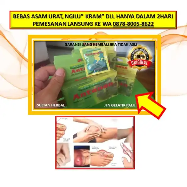 0878-8005-8622 Obat Asam Urat Cina Di Kota Palu