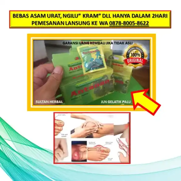 WA: 0878-8005-8622 Obat Asam Urat Tangan Di Kota Palu