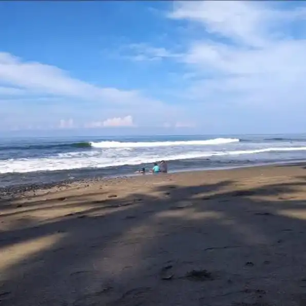 Dijual 1,5203 Ha. Loss Pantai Soka, Jl. Raya Denpasar Gilimanuk Antap Selemadeg Tabanan