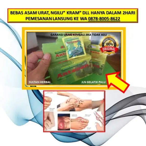 0878-8005-8622 Obat Herbal Kolesterol Zaidul Akbar Di Kota Palu