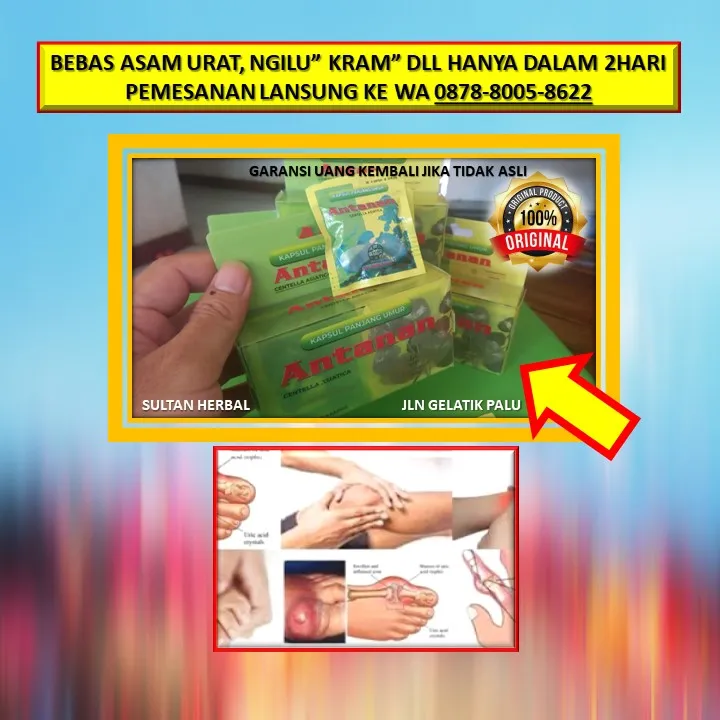 0878-8005-8622 Obat Untuk Kolesterol Tinggi Alami Di Kota Palu