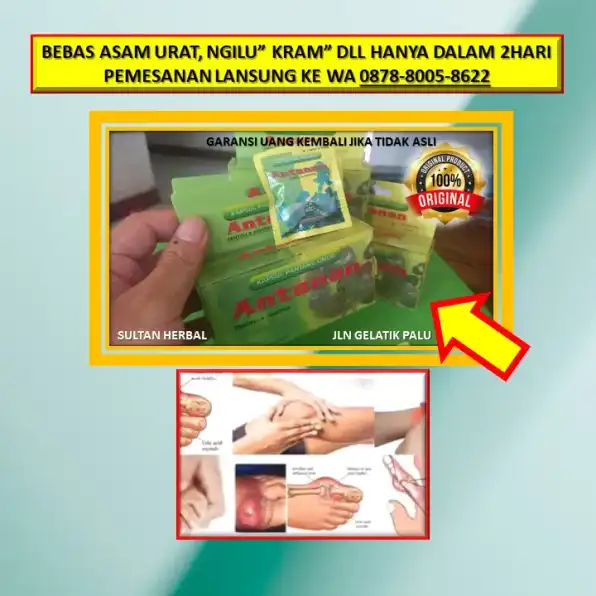 0878-8005-8622 Obat Kolesterol Untuk Bumil Di Kota Palu