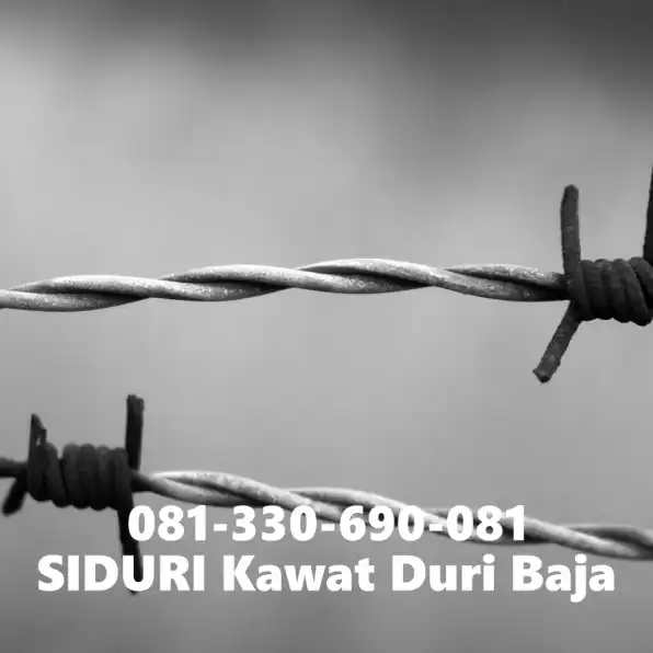 Order ke 081-330-690-081 Siduri Harga Kawat Duri Galvanis Per Roll Pakal Surabaya Awet 20Tahun! #30