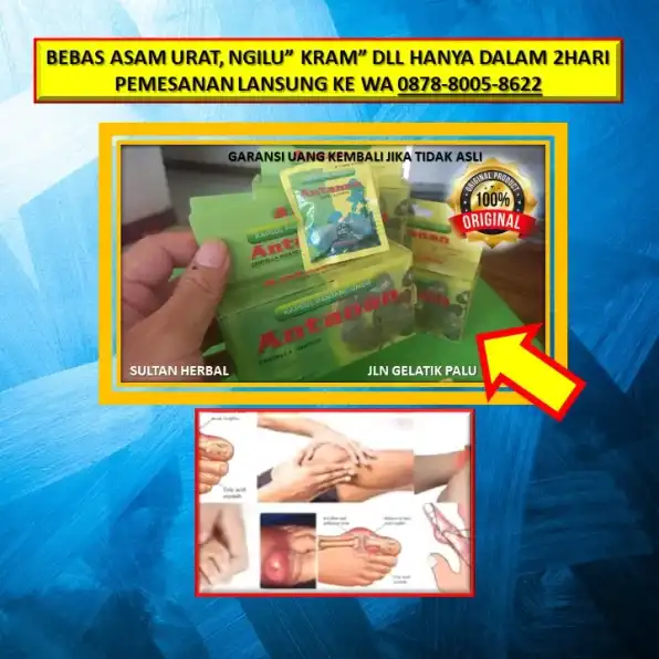 0878-8005-8622 Obat Alami Kolesterol Yang Bagus Di Kota Palu