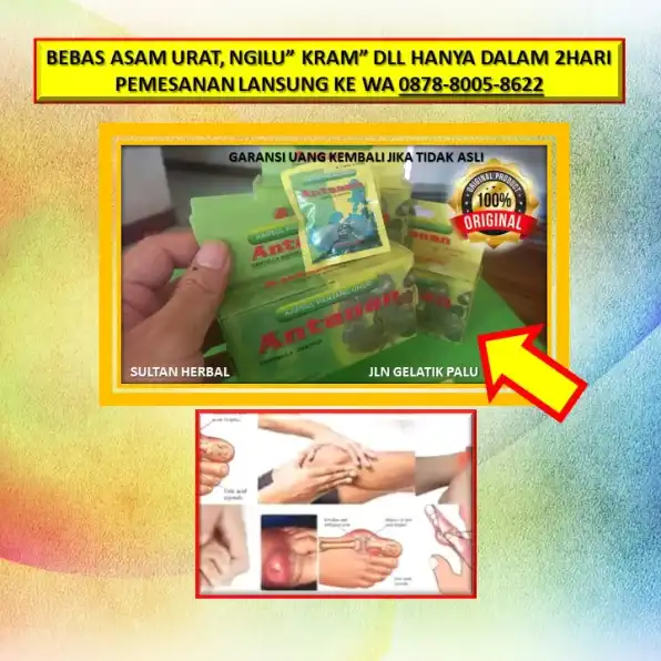 WA: 0878-8005-8622 Obat Alami Kolesterol Yang Bagus Di Kota Palu