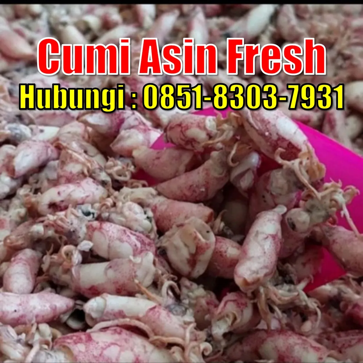 Fresh SEGAR, Jual Cumi Asin Baby Cumi Kabupaten Bekasi