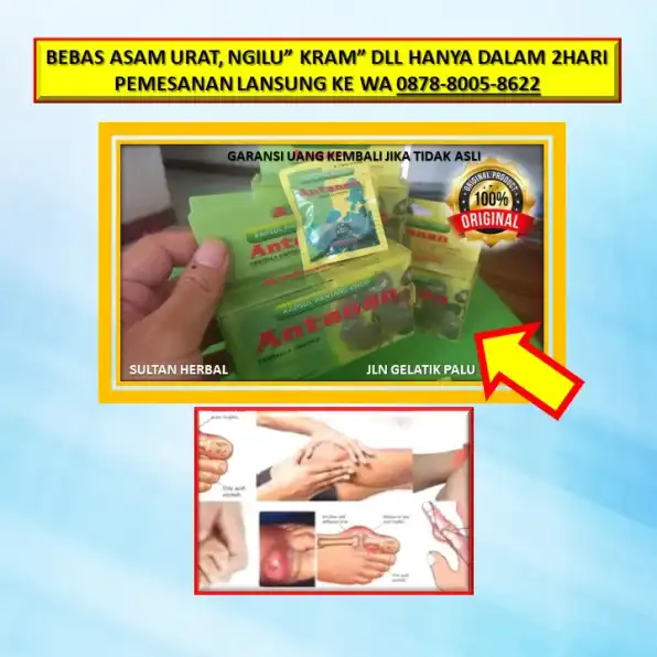 0878-8005-8622 Obat Kolesterol Yang Aman Buat Ibu Menyusui Di Kota Palu