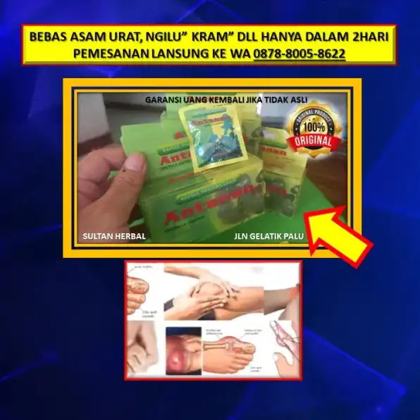 WA: 0878-8005-8622 Obat Asam Urat Adalah Di Kota Palu