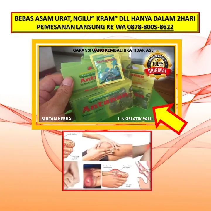 0878-8005-8622 Obat Alami Kolesterol Dan Gejalanya Di Kota Palu