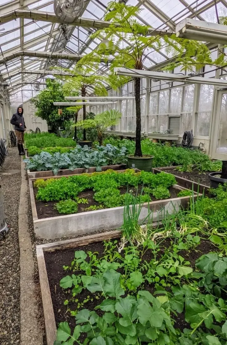 Jasa Pembuatan Greenhouse Terpercaya, , Gondang Wetan, Pasuruan