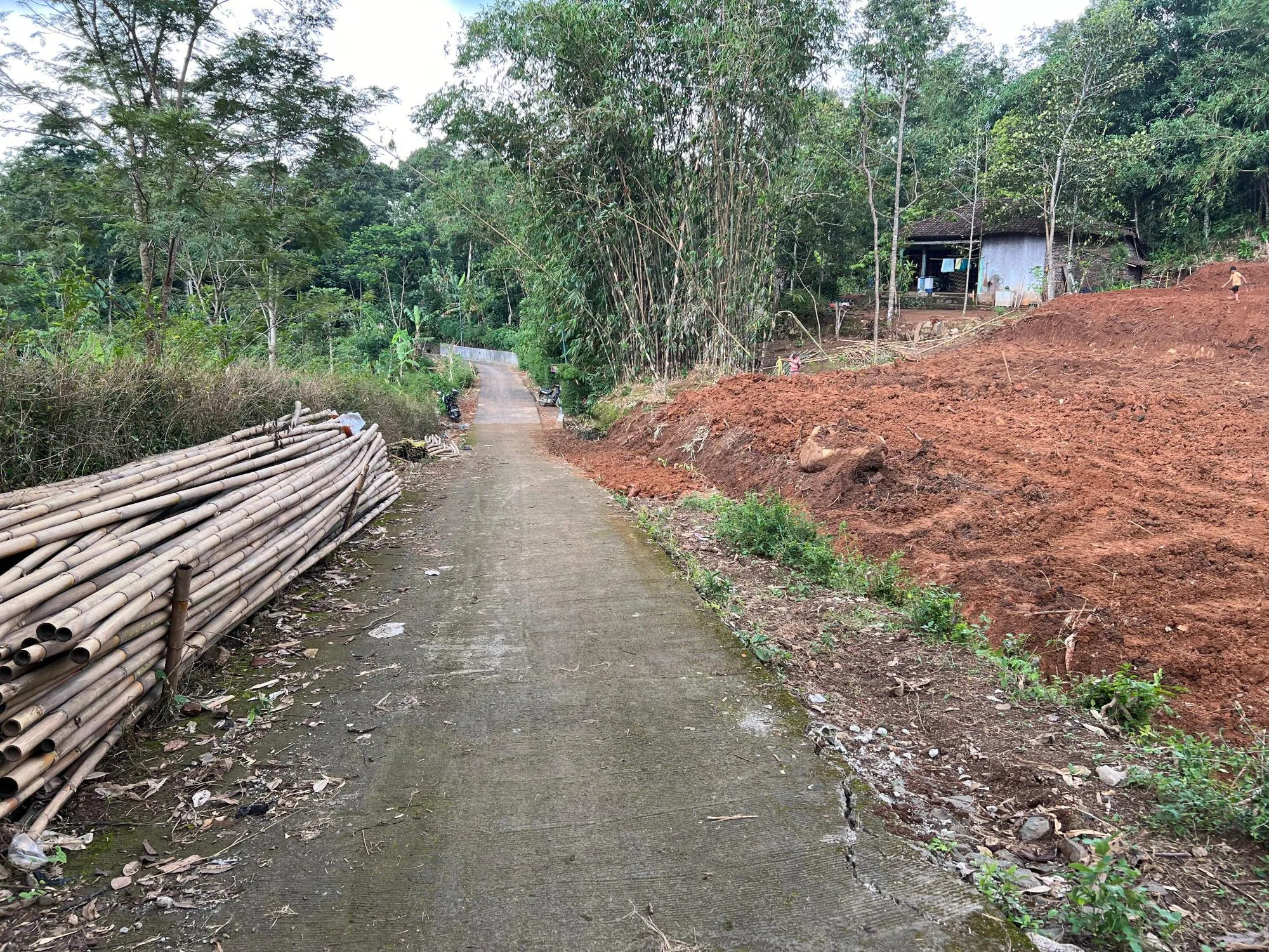 Kebun Alpukat Lingkungan Asri Karanganyar