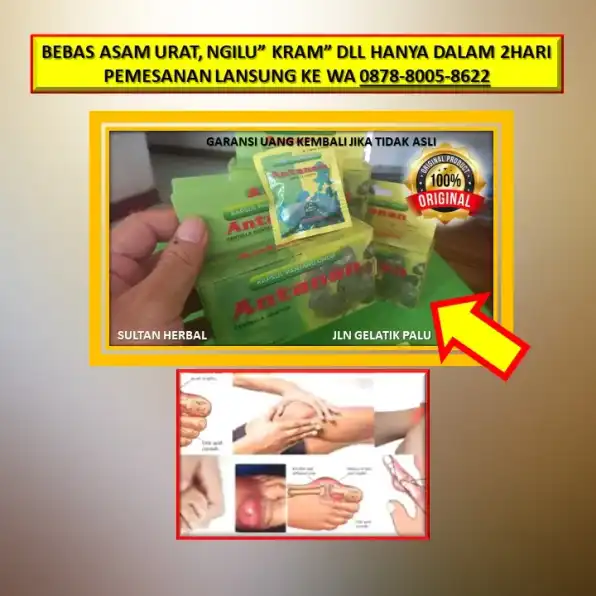 WA: 0878-8005-8622 Obat Asam Urat Generik Yang Manjur Di Kota Palu