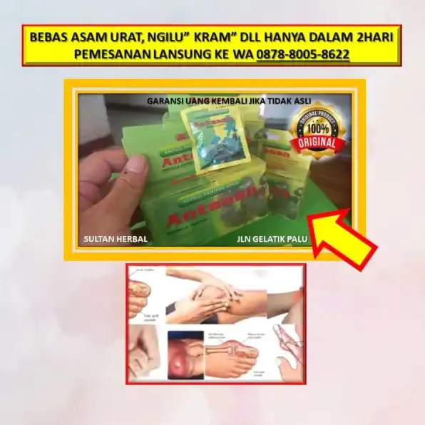 0878-8005-8622 Obat Asam Urat Lutut Di Kota Palu