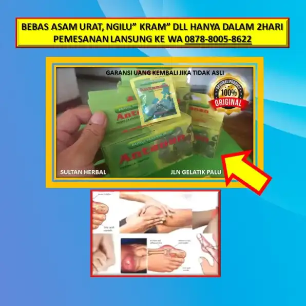 WA: 0878-8005-8622 Obat Asam Urat Tinggi Di Kota Palu