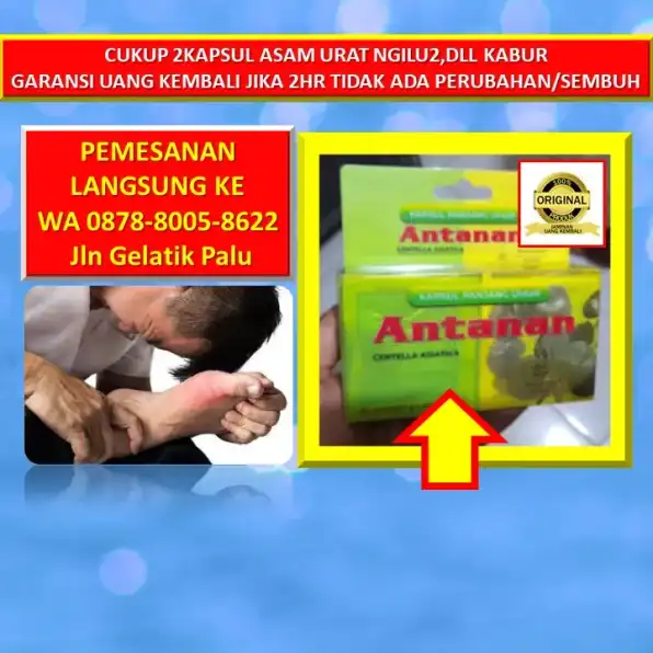 WA: 0878-8005-8622 Obat Asam Urat Minumnya Kapan Di Kota Palu