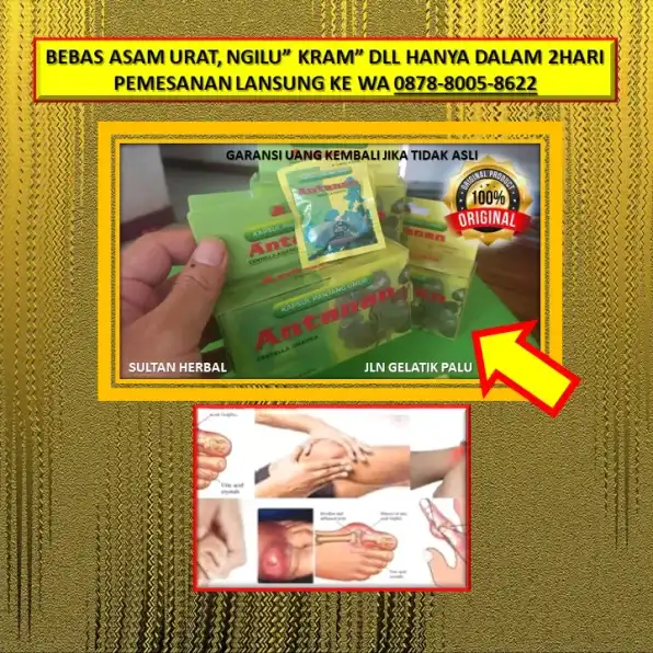 0878-8005-8622 Obat Asam Urat Ringan Di Kota Palu