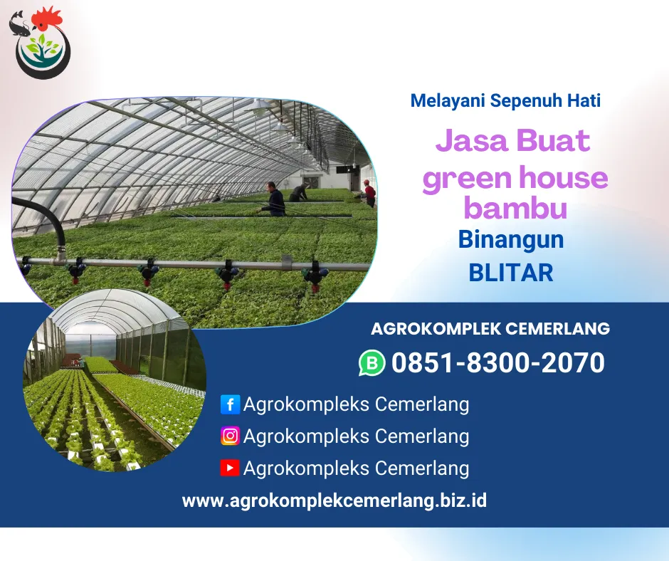 jasa green house blitar doko