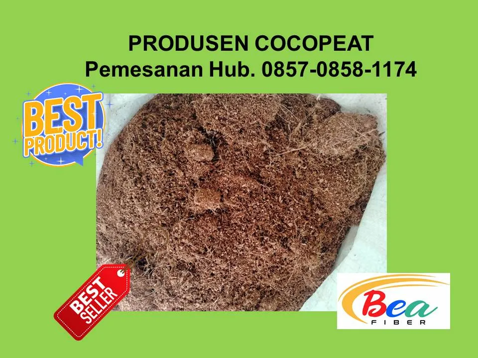 Call/WA: 0857 - 0858 -1174 Produsen Coconeat Organic Untuk Media Tanam Bejana Bangkalan Surabaya BEA FIBER