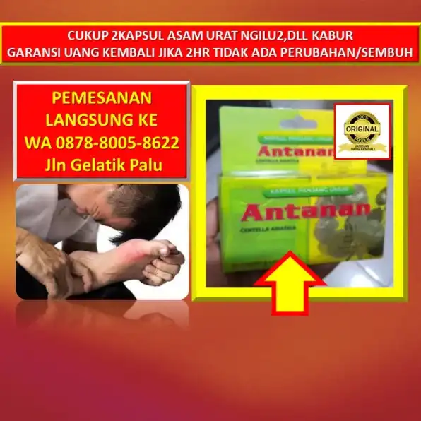 0878-8005-8622 Obat Kolesterol Tinggi Paling Ampuh Di Apotik Di Kota Palu