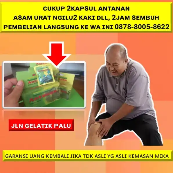 0878-8005-8622 Obat Alami Sakit Kolesterol Jahat Di Kota Palu