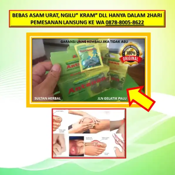 0878-8005-8622 Obat Asam Urat Untuk Penderita Ginjal Di Kota Palu