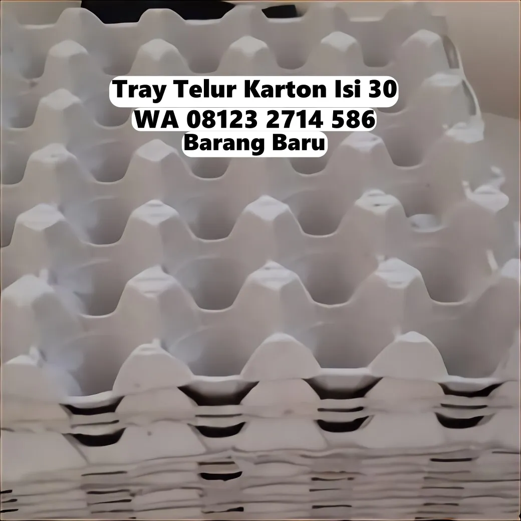 Rak Telor Terbuat Dari Apa (Tray Telur) - Kualitas Tinggi Kirim ke Gunungsari Lombok Barat (36)