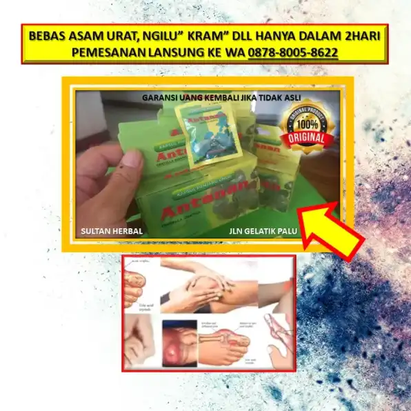 WA: 0878-8005-8622 Obat Asam Urat Menurut Dr Zaidul Akbar Di Kota Palu