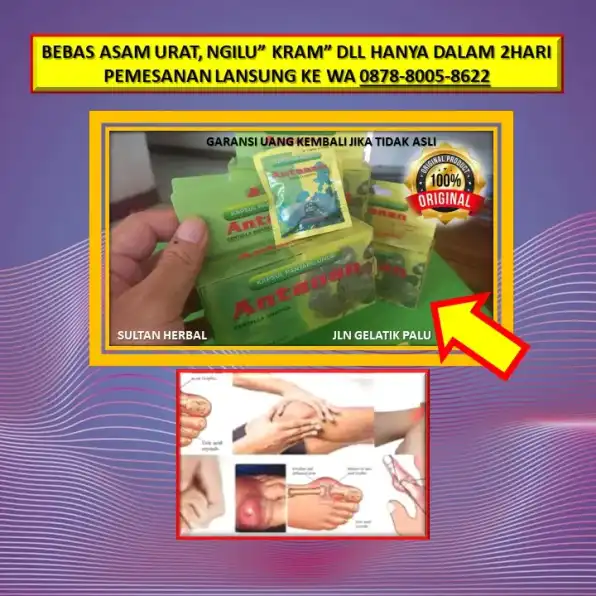 0878-8005-8622 Obat Asam Urat Pada Lutut Di Kota Palu