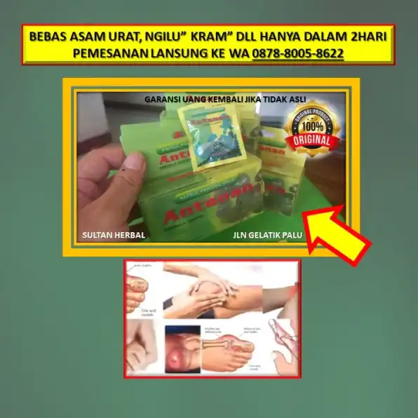 0878-8005-8622 Obat Sakit Ngilu Pada Pinggang Di Kota Palu