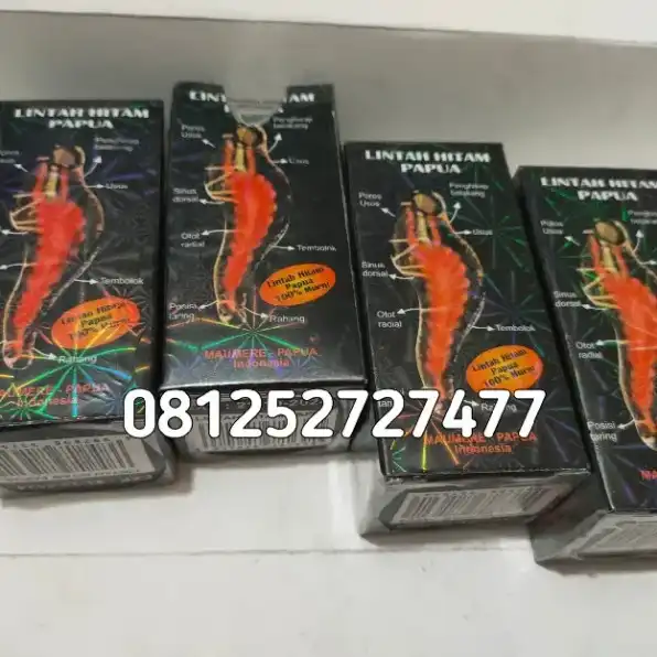 Jual Minyak Lintah Hitam Asli Di Solo 081252727477