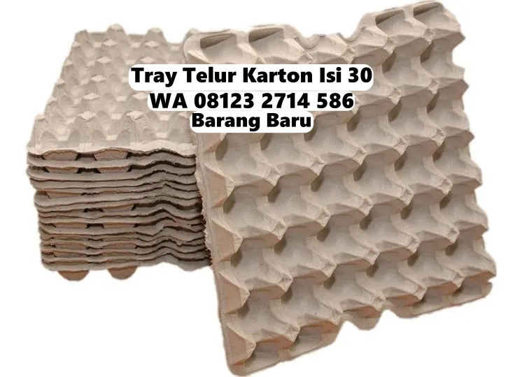 Perlindungan Ekstra - Nampan Telur (Trey Telur) kirim ke Ropang Sumbawa (8)