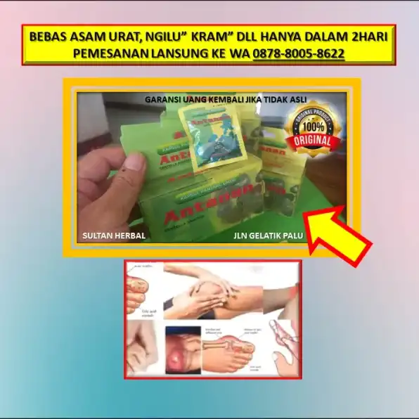 0878-8005-8622 Obat Asam Urat Namanya Apa Di Kota Palu