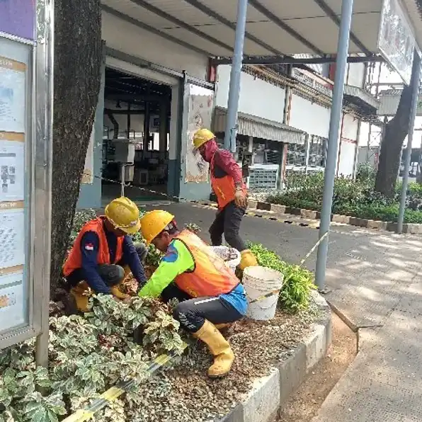 Harga Pasang Penangkal petir Radius R35 Di Rumah. Citeureup Bogor