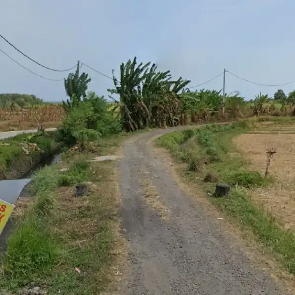 Dijyal 70,5 are, LOSS PANTAI, Tibubiyu Antara Pantai Kelating Pantai Tegalombo Kerambitan Tabanan