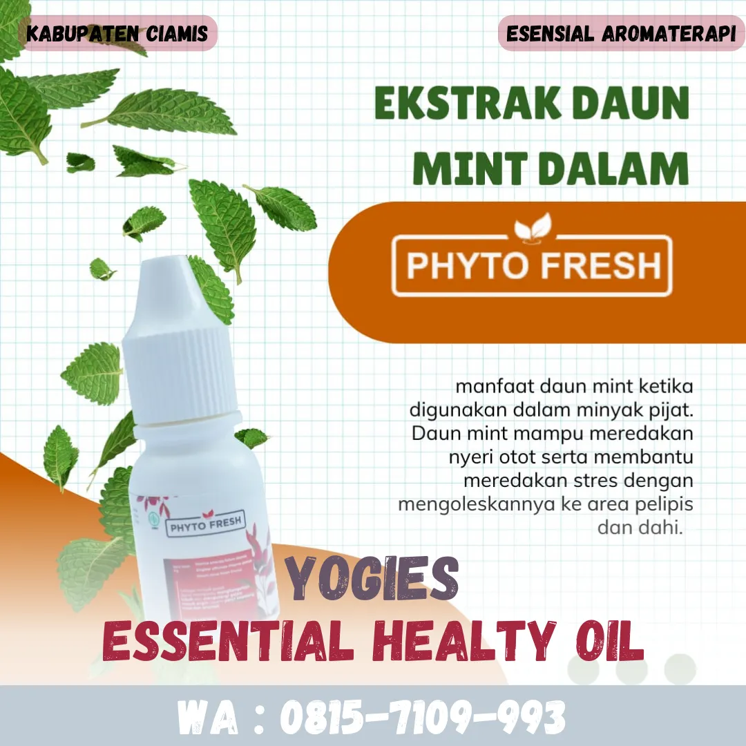 (YOGIES), Grosir Phyto Fresh Kota Tanjungbalai, Meredakan Pegal