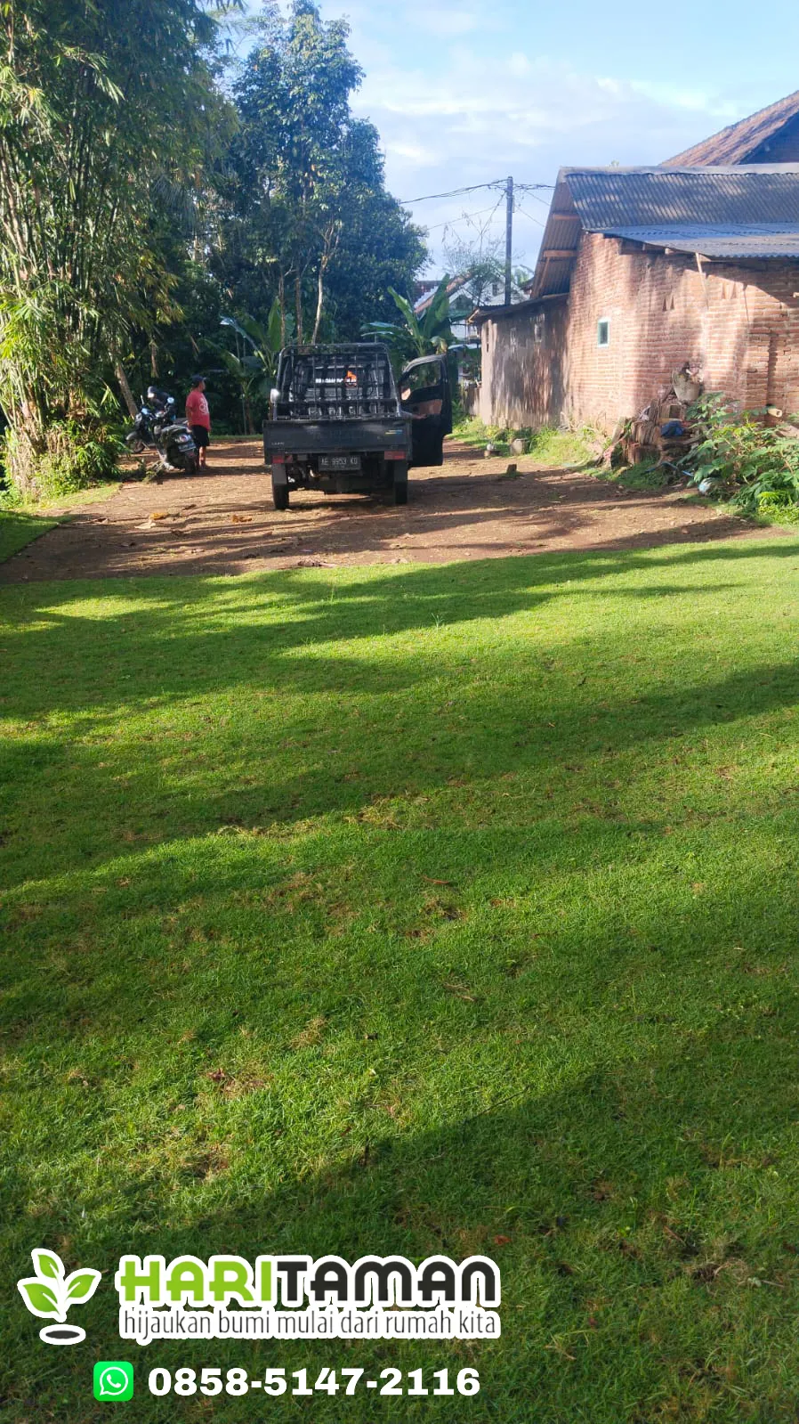 Harga Rumput Jepang Kota Blitar Termurah