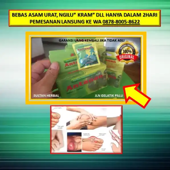 0878-8005-8622 Obat Asam Urat Paten Di Kota Palu