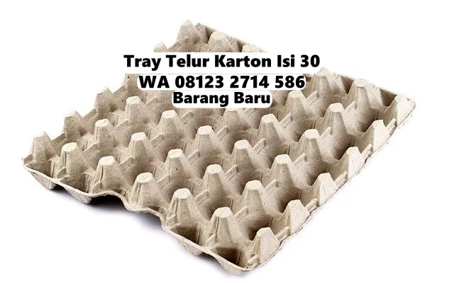 Krat Telor Karton Kardus Diskon Gede Selemadeg Barat Tabanan Bali (93)